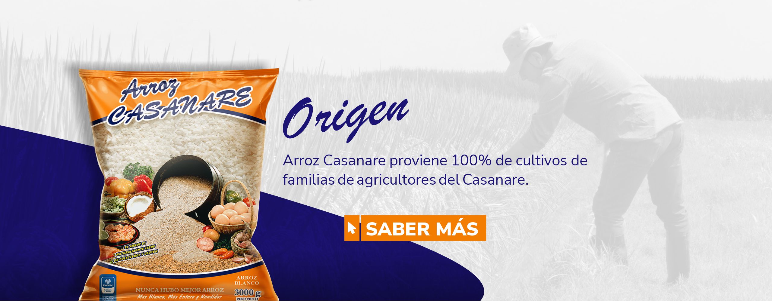 Banner Arroz Casanare blanco