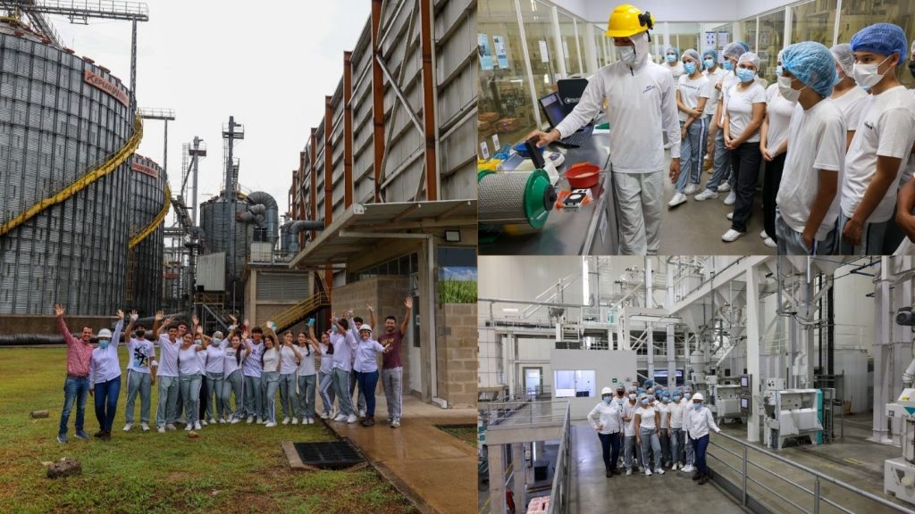 Conociendo la industria arrocera en Casanare