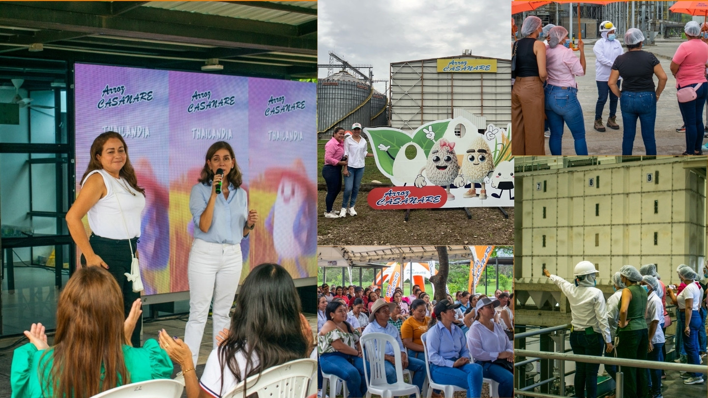 Mujeres arroceras que inspiran al campo colombiano