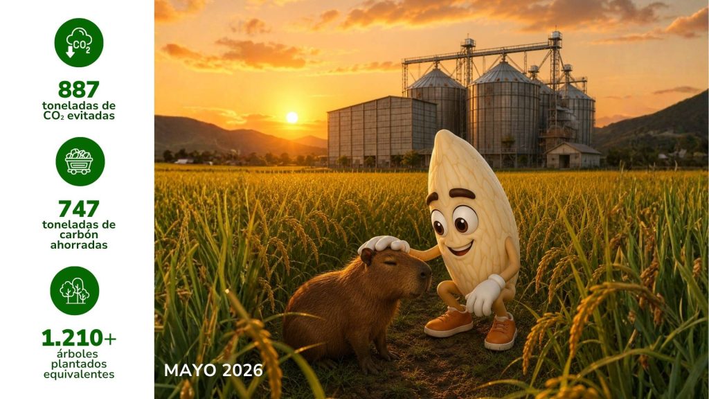 Arroz Casanare transforma energía limpia en impacto ambiental positivo 