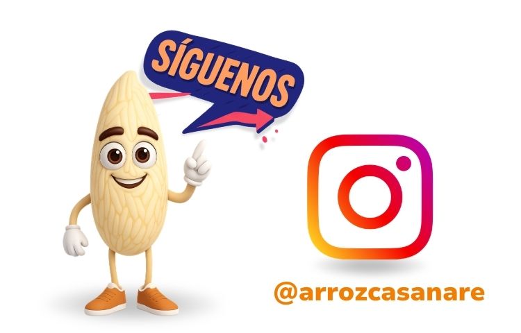 Banner de Arrocito Síguenos en Instagram
