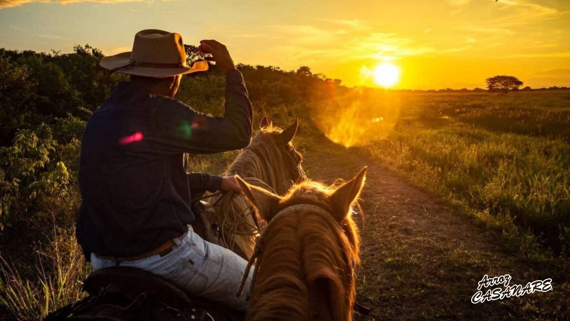 Casanare crece y se consolida como potencia agrícola y turística
