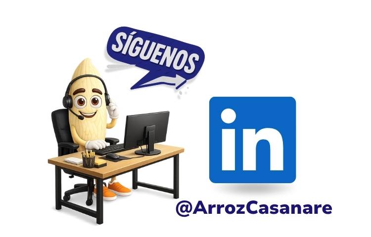 Te invitamos a seguirnos en LinkedIn Te invitamos a seguirnos en LinkedIn